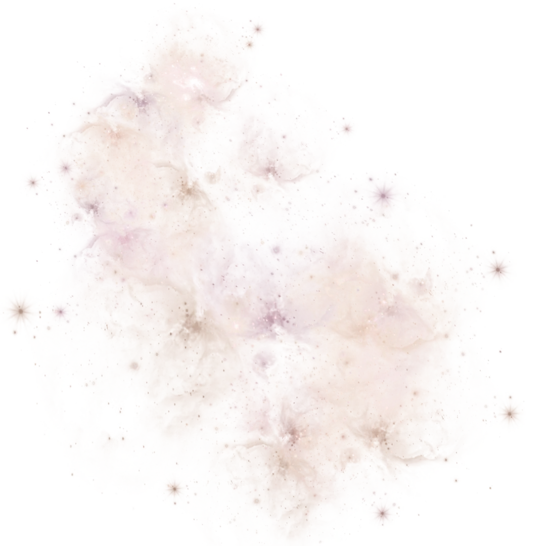 Dummy product for display - Image 2